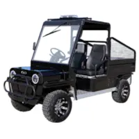 Sterker Wild Warrior 72V 10KW ST-W4-72V Each