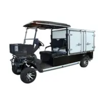 Sterker Apache Black Type A Box 48V LWB Resort/Cleaners Cart ST-RE-48V-LWB Each
