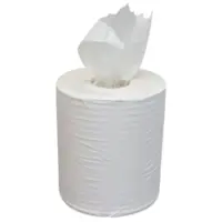 Puregiene Centrefeed Hand Towel 300m Carton 4